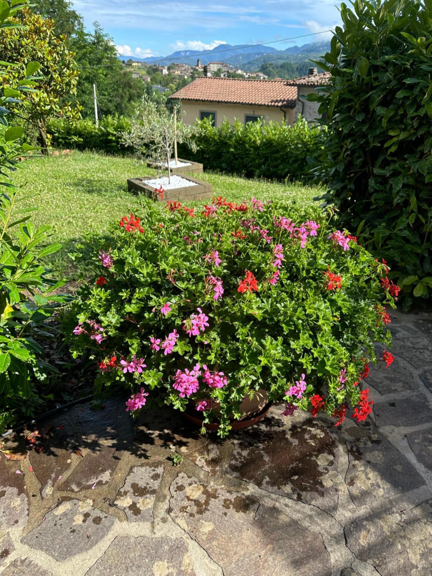San Romano Casa Margherita Celide מראה חיצוני תמונה